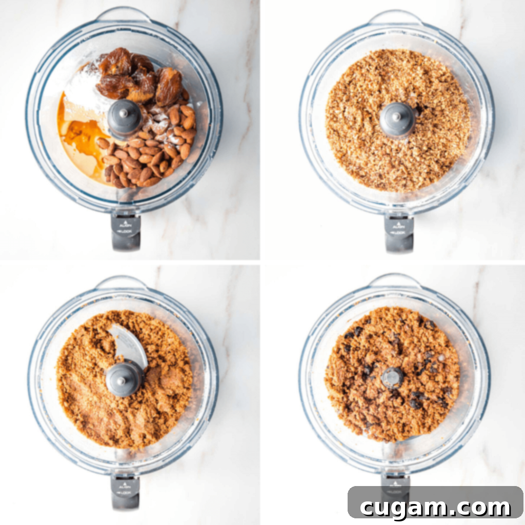 Step-by-step process of making vegan gluten-free biscotti dough in a food processor, from raw ingredients to a perfectly formed ball of dough.