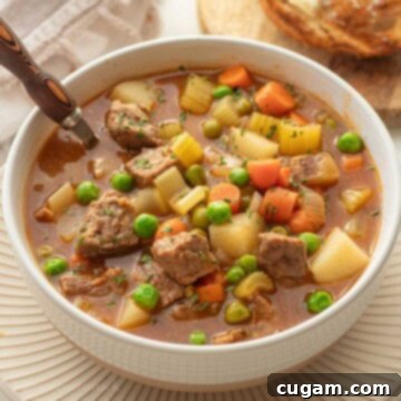 White bowl of cooked beef stew with toasted bread.