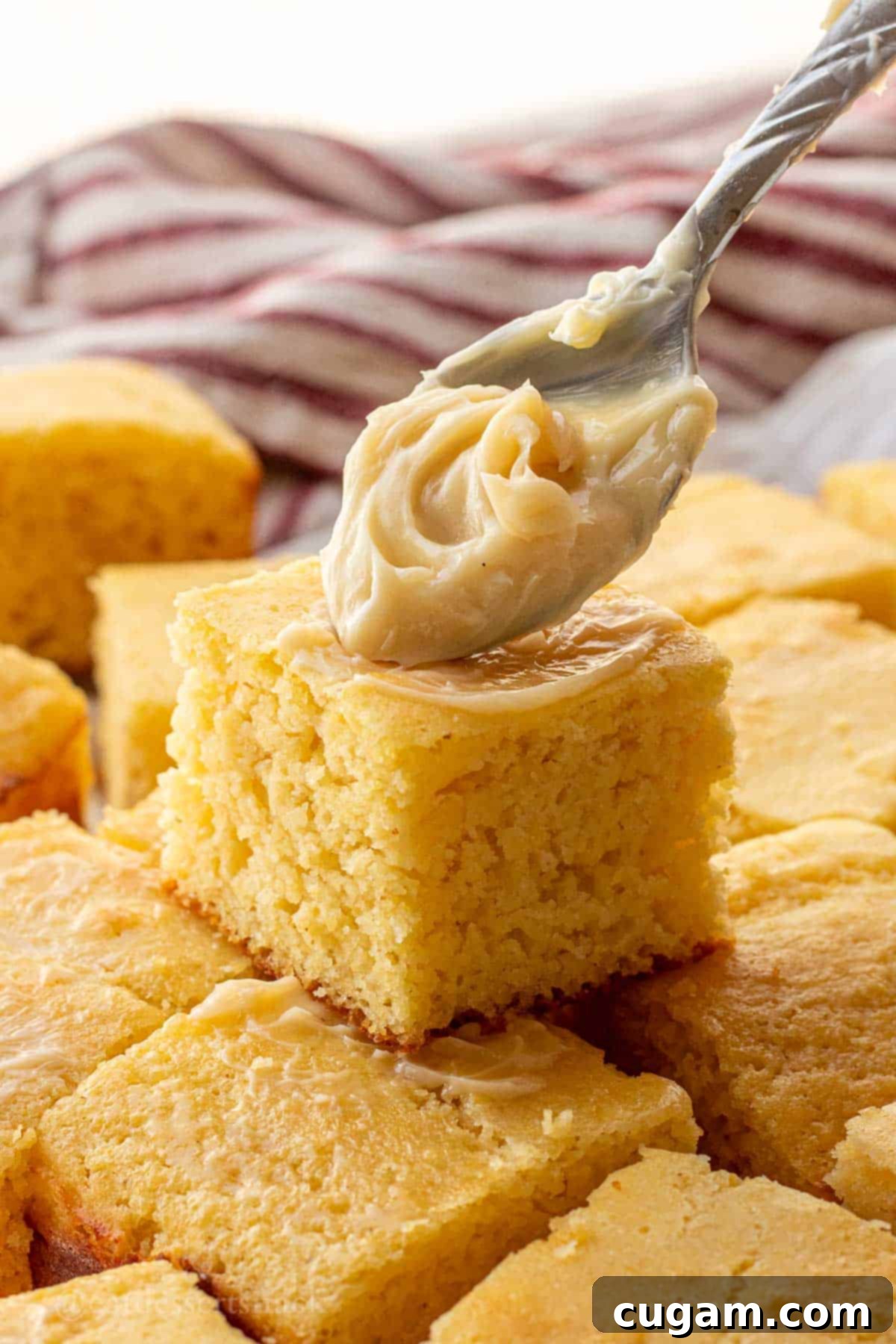 Spoonful of honey butter on sliced of baked cornbread.