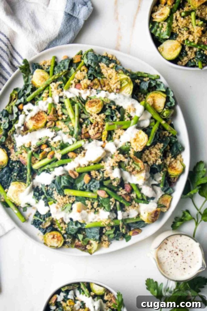 Composed salad with crisp quinoa, roasted veggies, kale and nuts with a creamy dressing drizzled over the top.