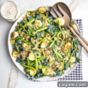 White plate with greens, veggies, crispy quinoa and a creamy dressing.