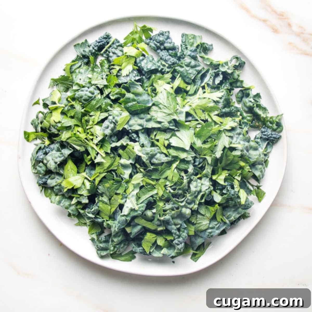 Large white plate filled with chopped elephant kale.