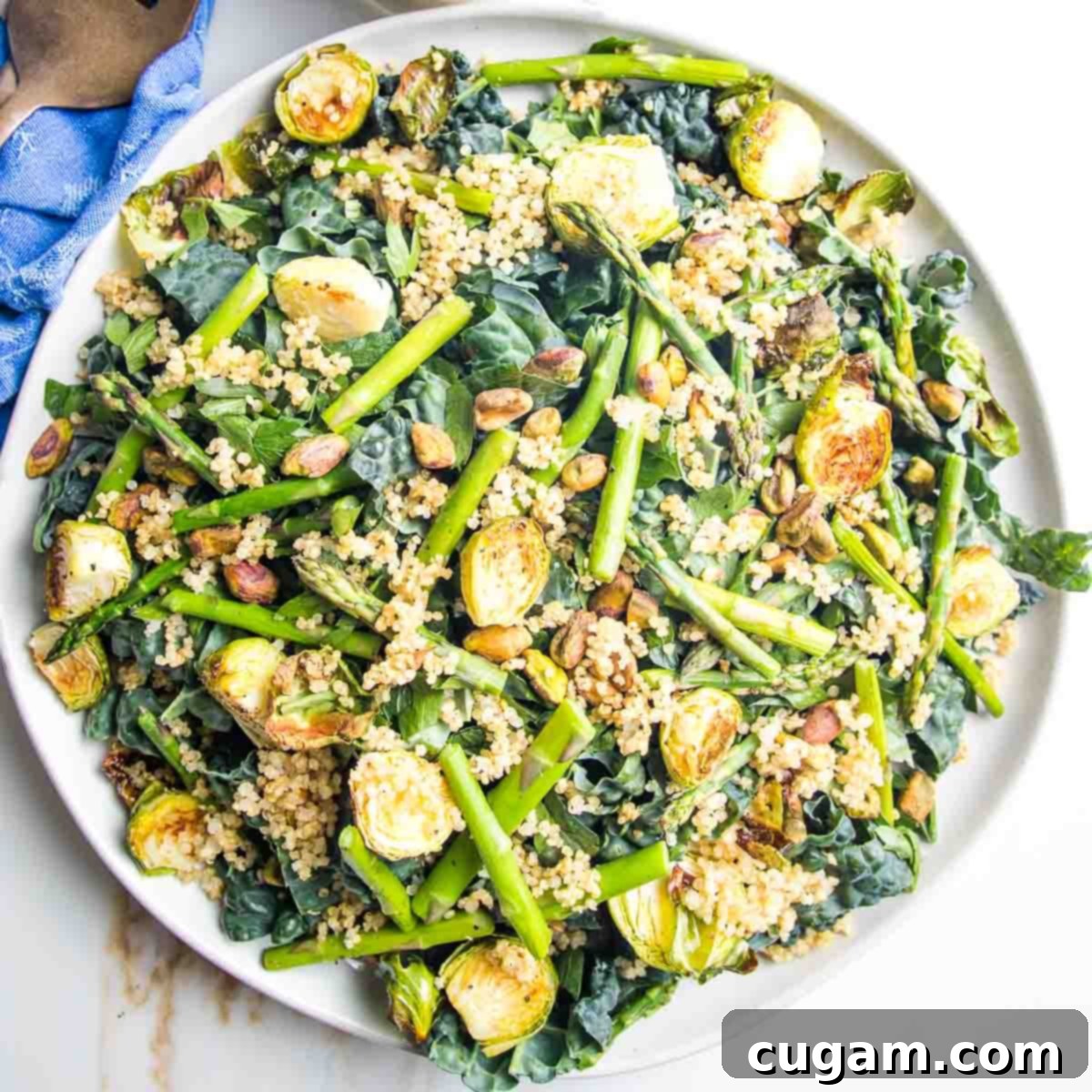 Large platter covered in greens, roasted veggies and crispy quinoa. 