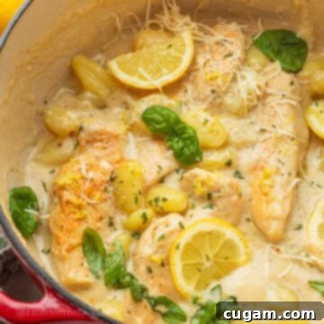 Cooked chicken gnocchi with lemon in a pan.