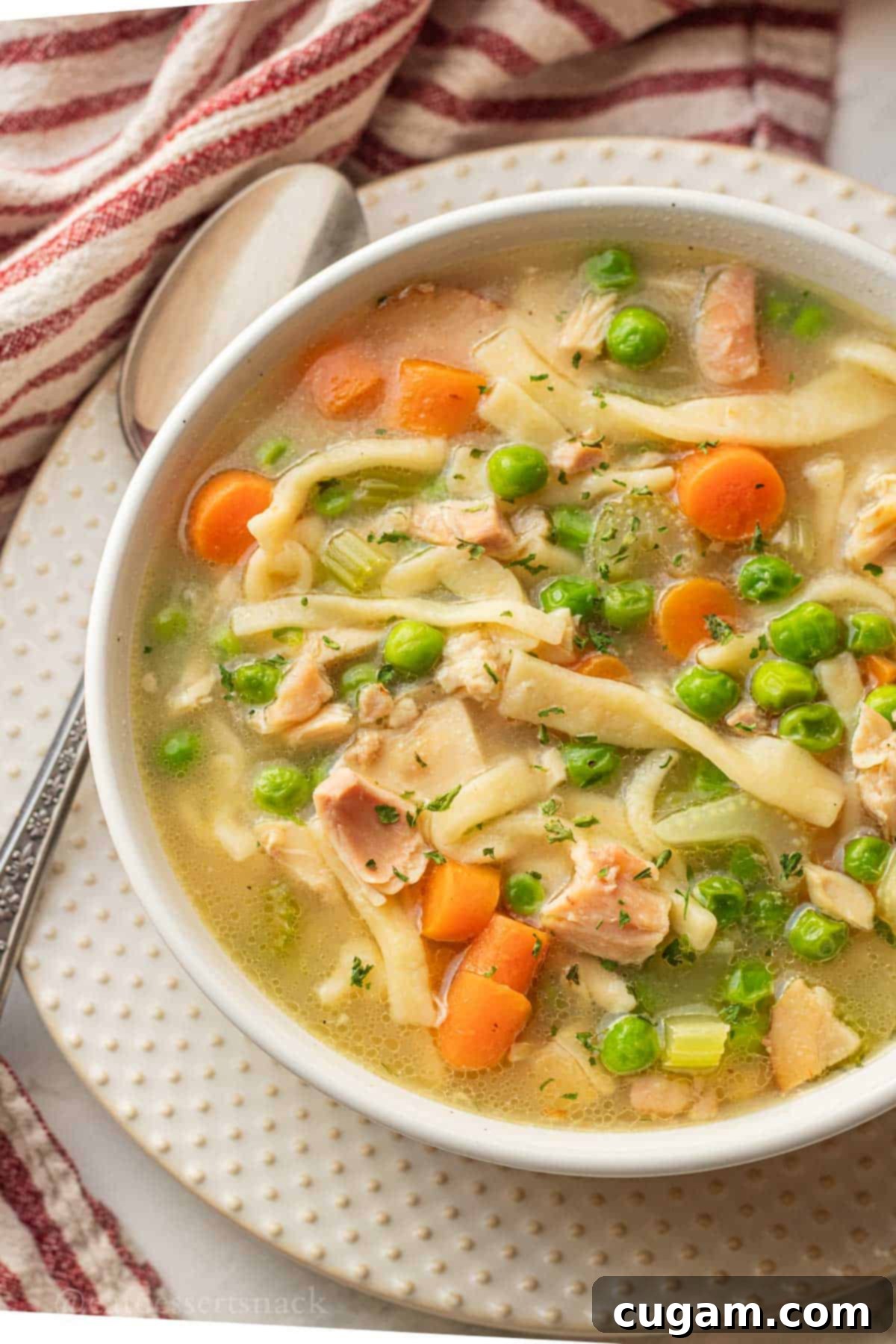 Nourishing Bone Broth Chicken Noodle Soup 2 Cooked chicken noodle soup in white bowl.