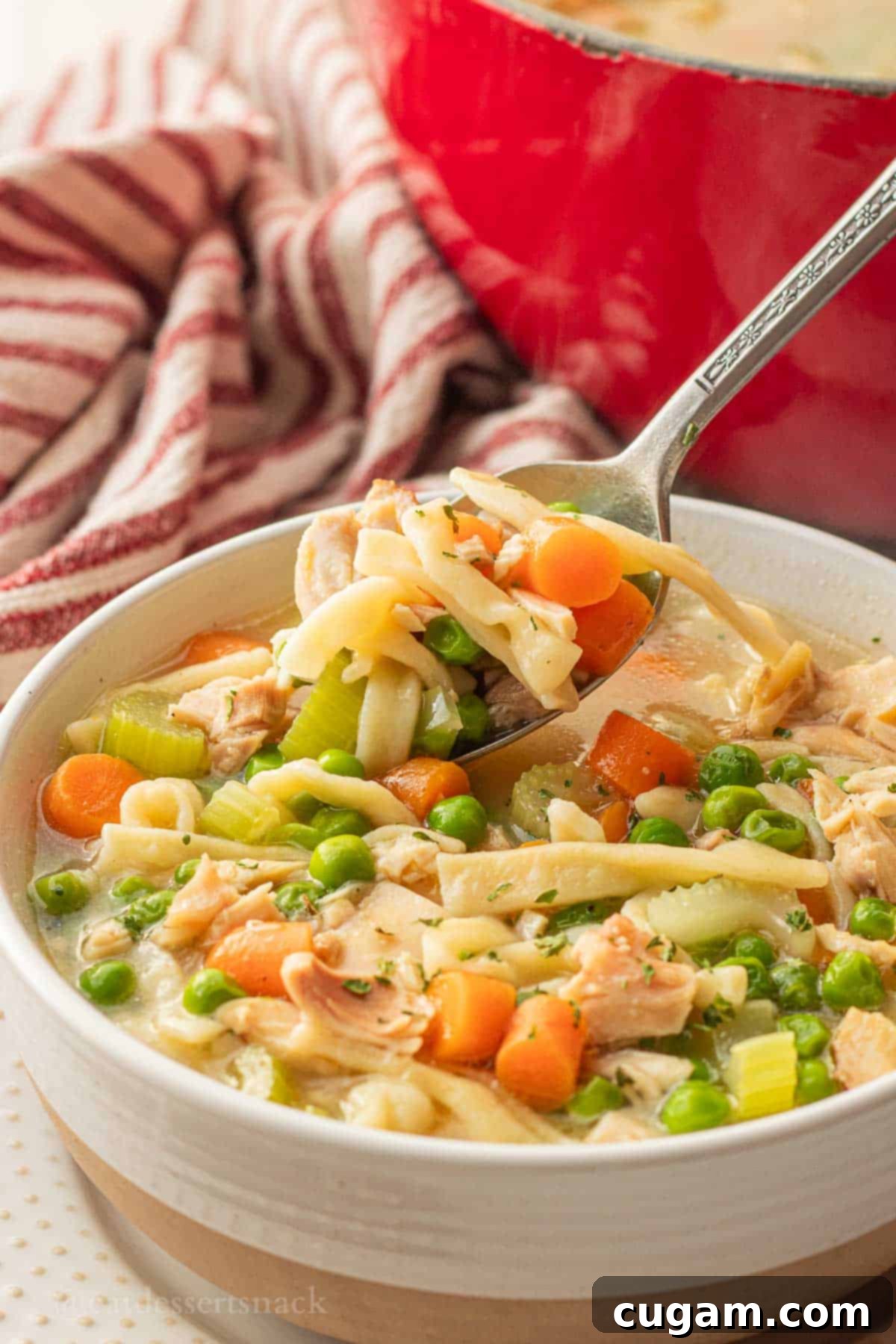 Nourishing Bone Broth Chicken Noodle Soup 12 Spoonful of chicken noodle soup in white bowl.