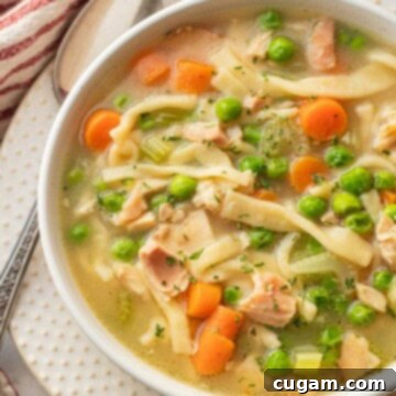 Nourishing Bone Broth Chicken Noodle Soup 13 Cooked chicken noodle soup in white bowl on white plate.