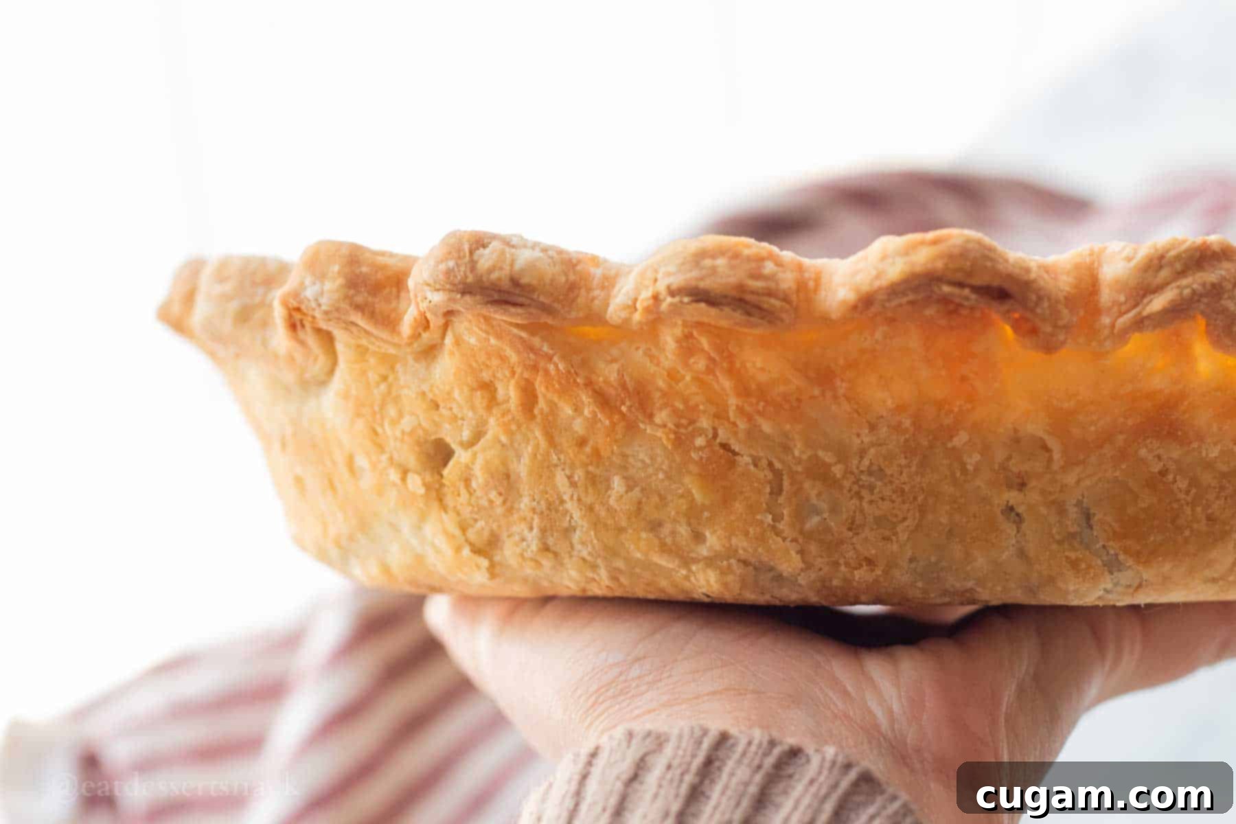 Baked cream cheese pie crust. 