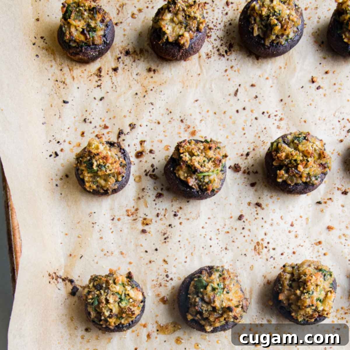 Baked stuffed mushrooms on a baking tray