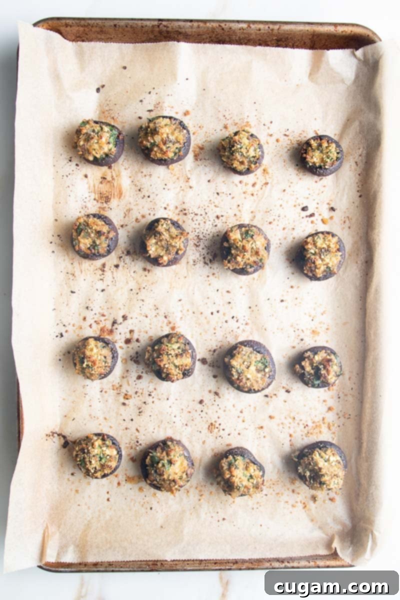 Stuffed mushrooms, golden and crisp on top.