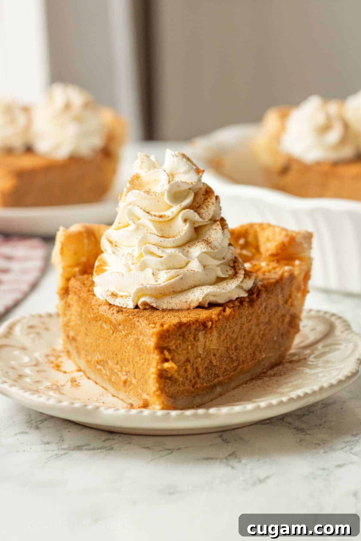 Slice of cream cheese pumpkin pie with whipped cream on white plate.