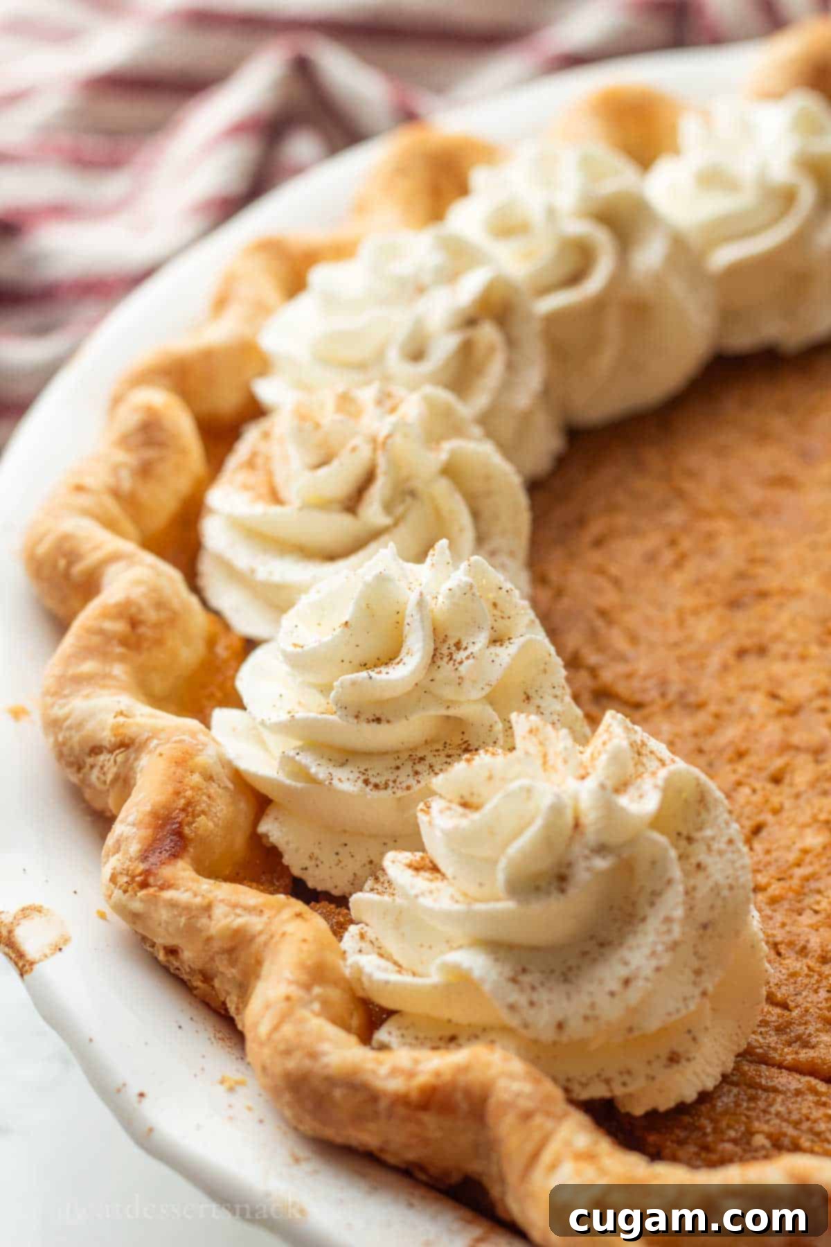 Baked brown sugar pumpkin pie with whipped cream on top.
