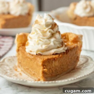 Slice of cream cheese pumpkin pie with whipped cream on white plate.