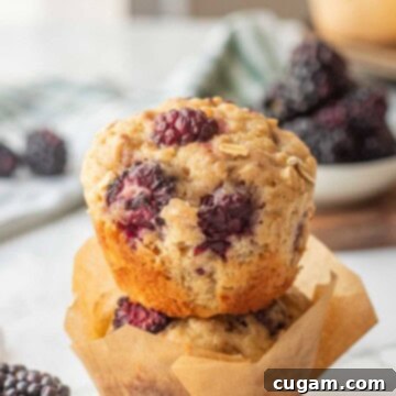 Close-up of baked banana blackberry oatmeal muffins.