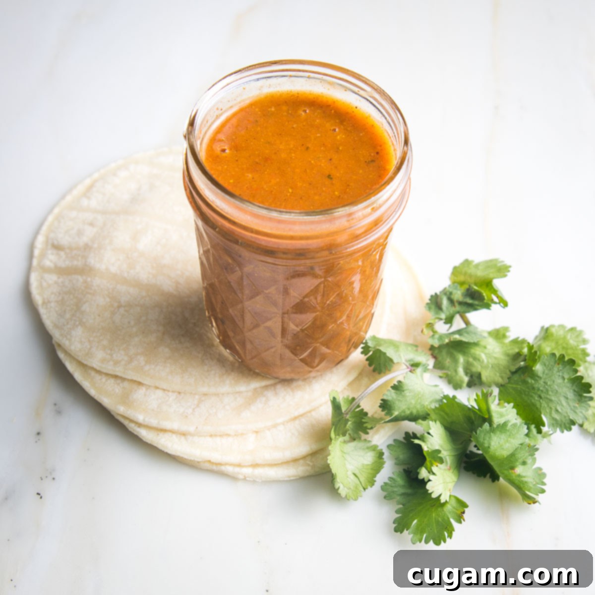 Jar of red enchiladas sauce with cilantro and tortillas on the side. 