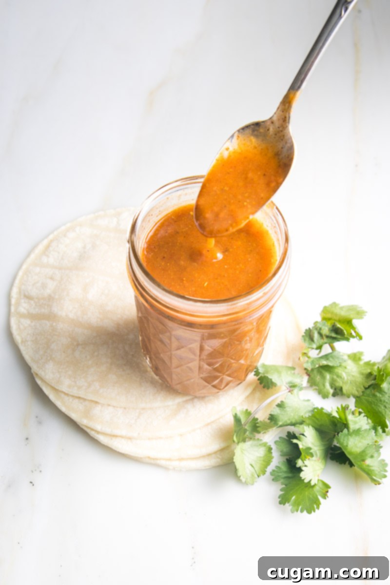 Jar of enchilada sauce sitting on top of tortillas with a bunch of cilantro on the side. 