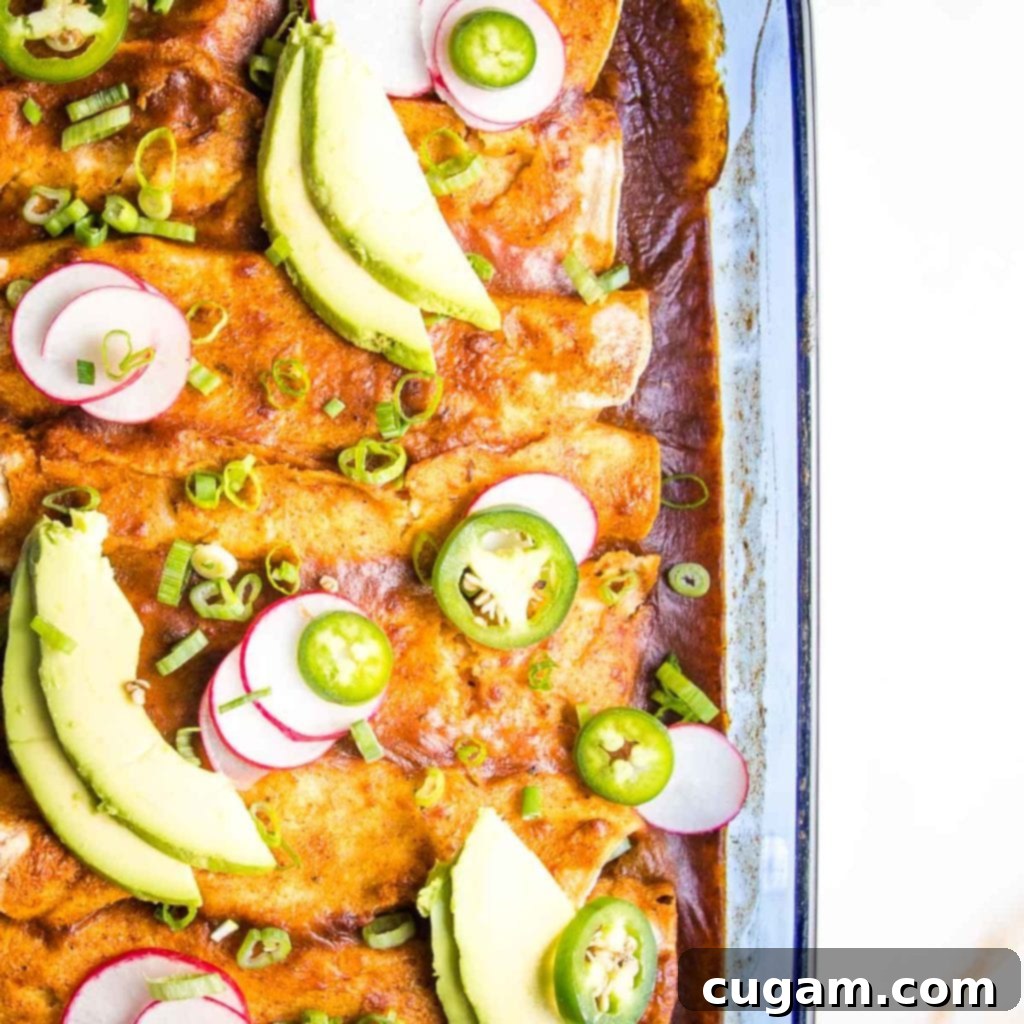 Casserole Dish with enchiladas, garnished with avocado slices, jalapenos and radishes.