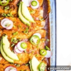 Casserole Dish with enchiladas, garnished with avocado slices, jalapenos and radishes.