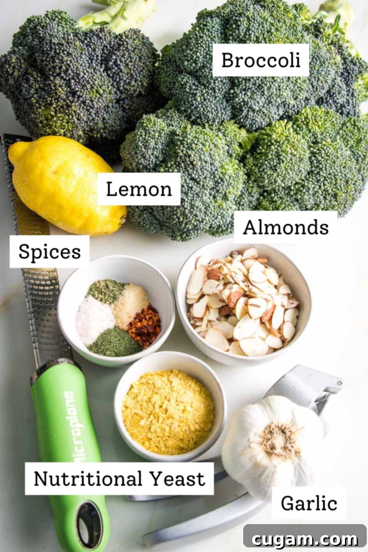 Carefully arranged and labeled ingredients for oven roasted broccoli, including fresh broccoli florets, a whole lemon, sliced almonds, a selection of dried spices, fresh garlic cloves, and a container of nutritional yeast.