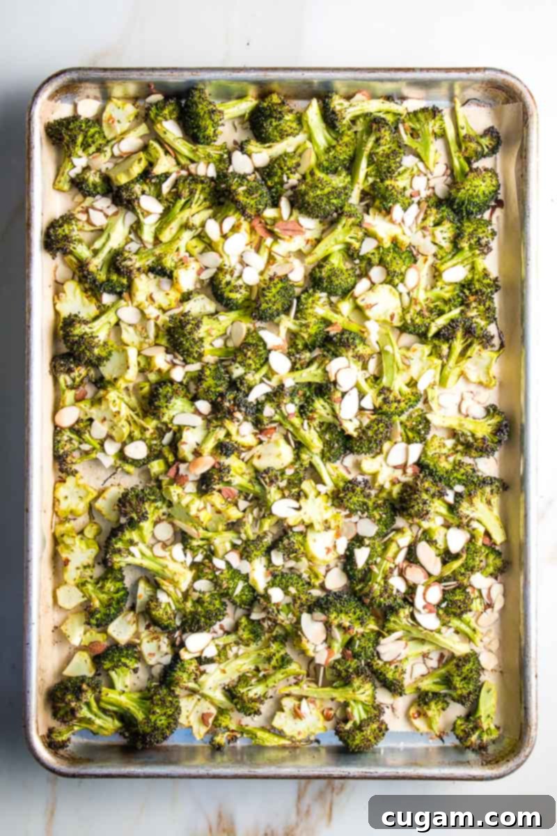 Roasted broccoli on a sheet pan after the first bake, with sliced almonds being sprinkled over it before returning to the oven for final crisping.