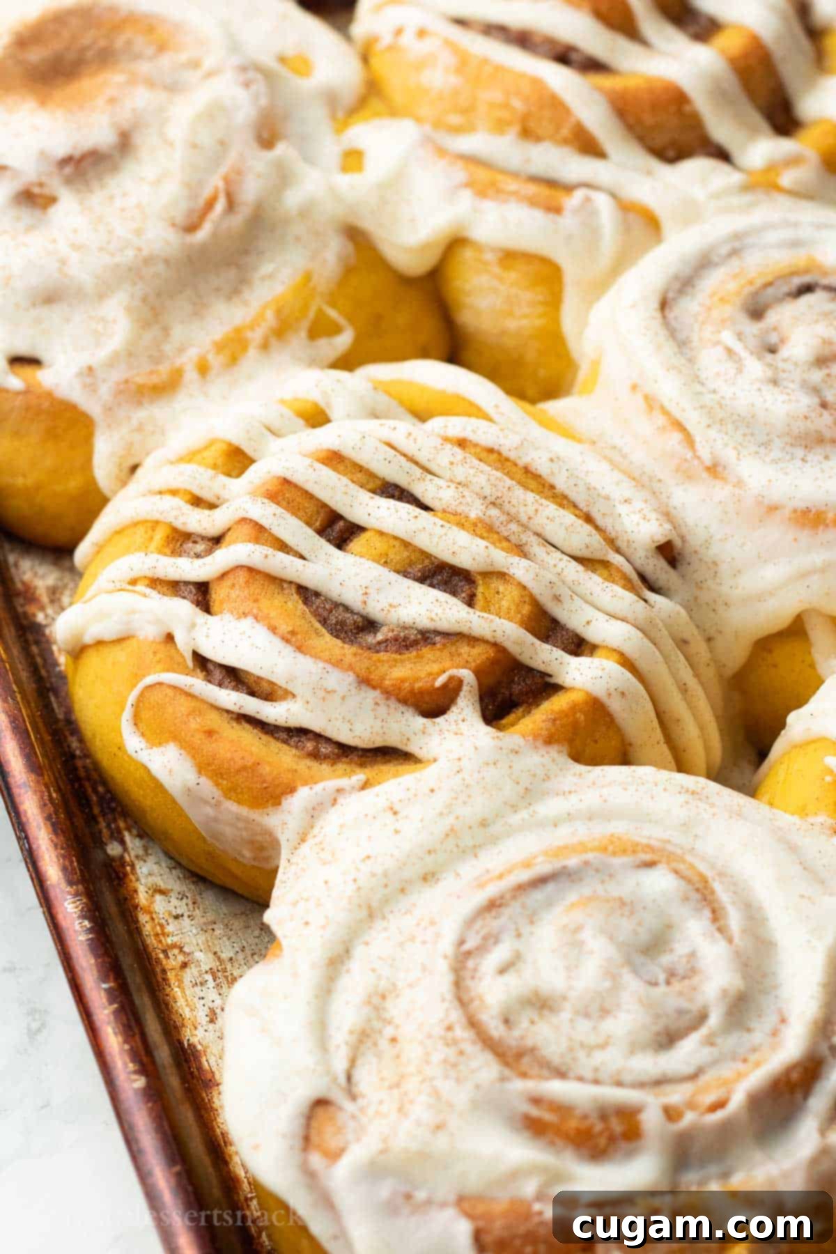 Baked frosted pumpkin cinnamon rolls in metal pan, glistening with cream cheese frosting.