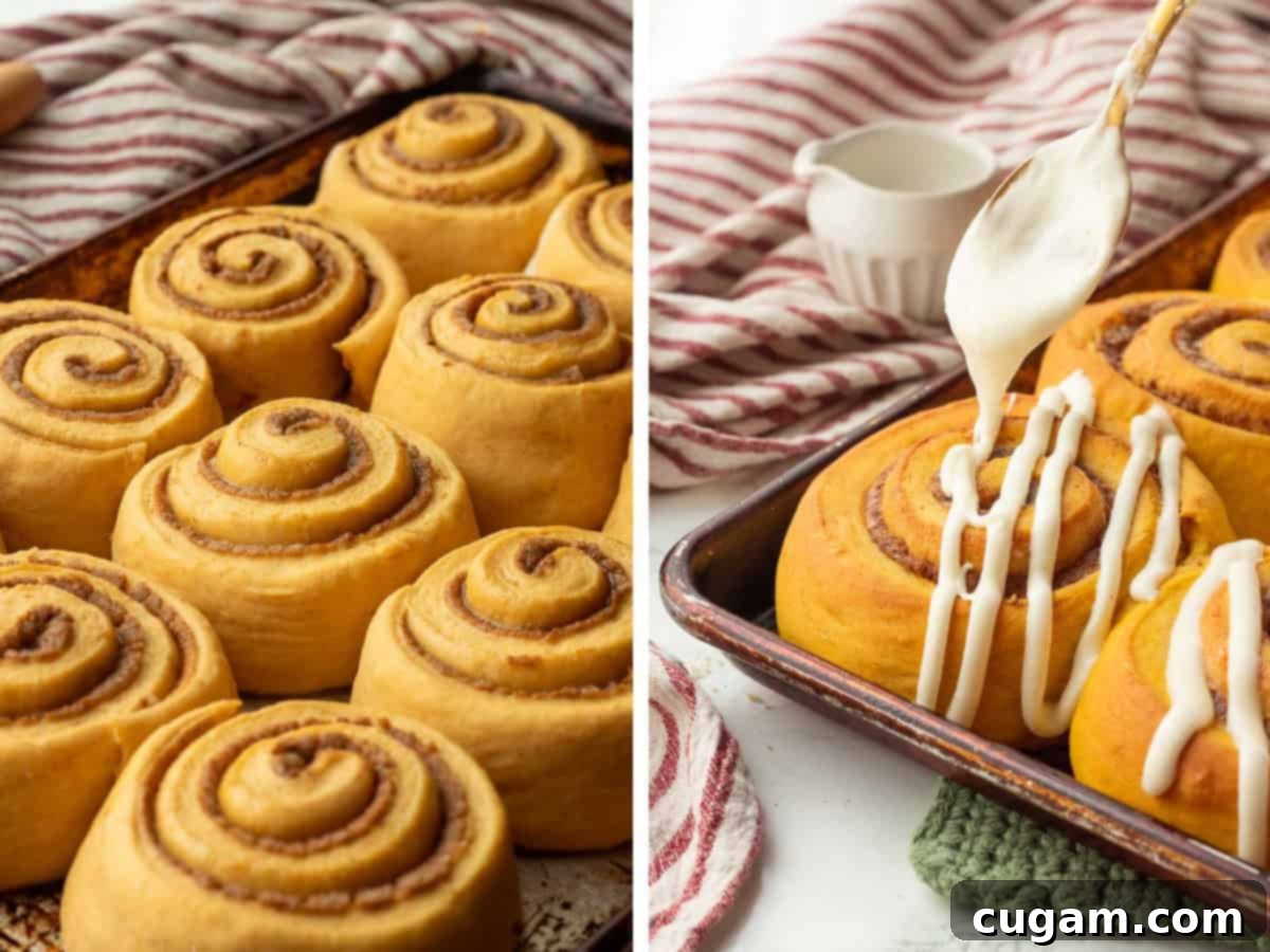 Raw pumpkin cinnamon rolls, risen, and baked rolls with icing, in a pan.