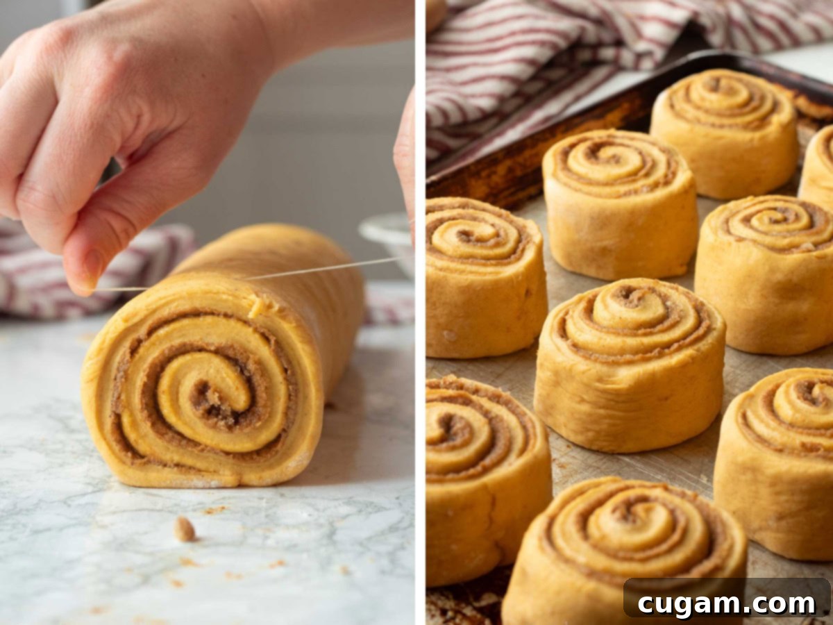 Cutting pumpkin cinnamon roll log with string and raw cinnamon rolls on pan, spaced for rising.