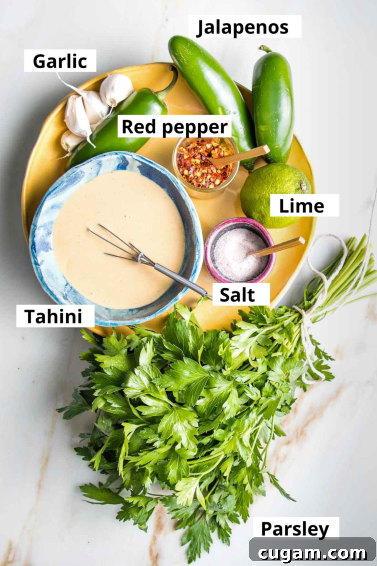Labeled ingredients for green tahini sauce: tahini, fresh jalapenos, vibrant lime, aromatic garlic, fresh parsley, sea salt, and crushed red pepper flakes.