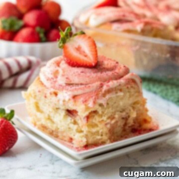 Baked strawberry cheesecake cinnamon roll on white plate.