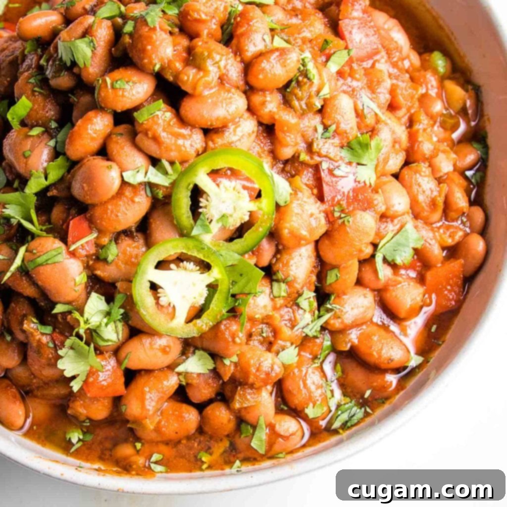 Mexian Style pinto beans in tomato sauce, garnished with sliced jalapenos and sprinkled with fresh chopped herbs