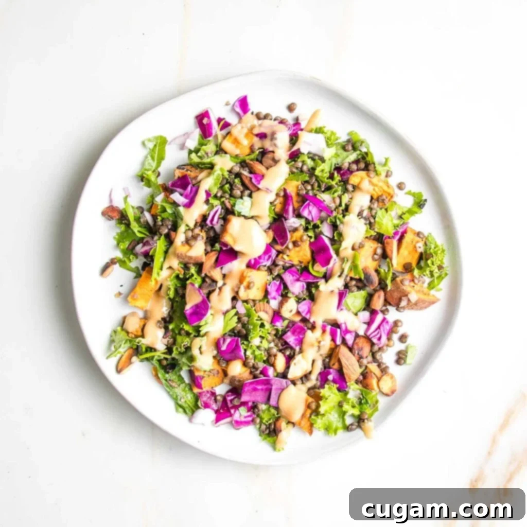 Vibrant vegan lentil salad presented on a white round plate with colorful vegetables and artful stripes of creamy dressing.