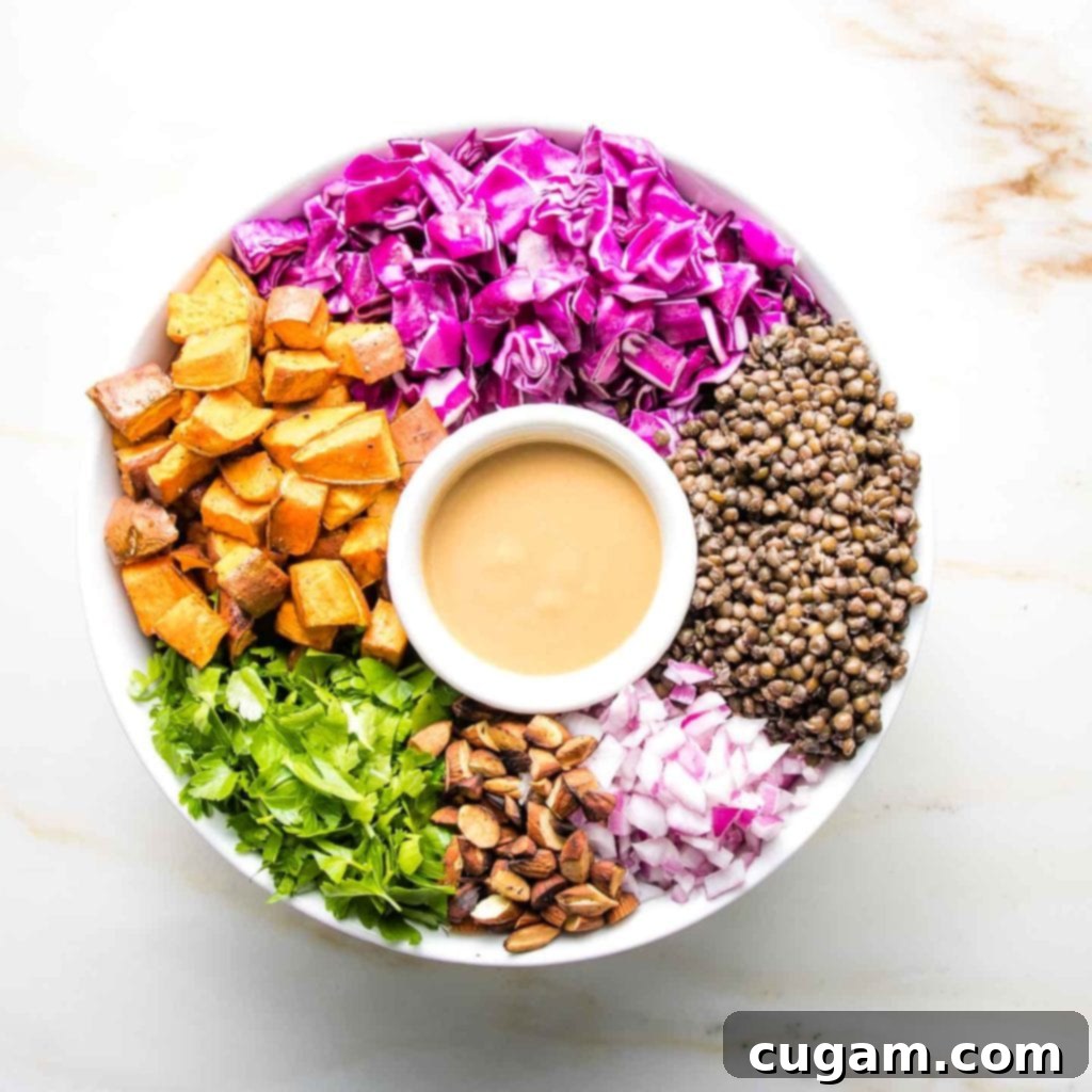 A beautifully composed Vegan Lentil Salad with its colorful ingredients artfully arranged around a small dish of the creamy miso mustard dressing.