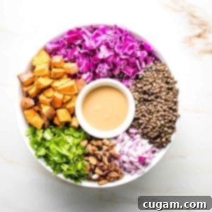 Vegan Lentil Salad with colorful ingredients arranged around a small dish of dressing.
