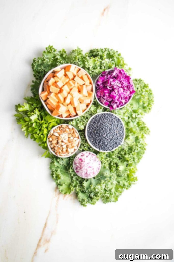 Assortment of vegan lentil salad ingredients: Separate white bowls hold bright green kale, black lentils, chopped almonds, orange sweet potato cubes, vivid purple cabbage, and finely minced red onions.