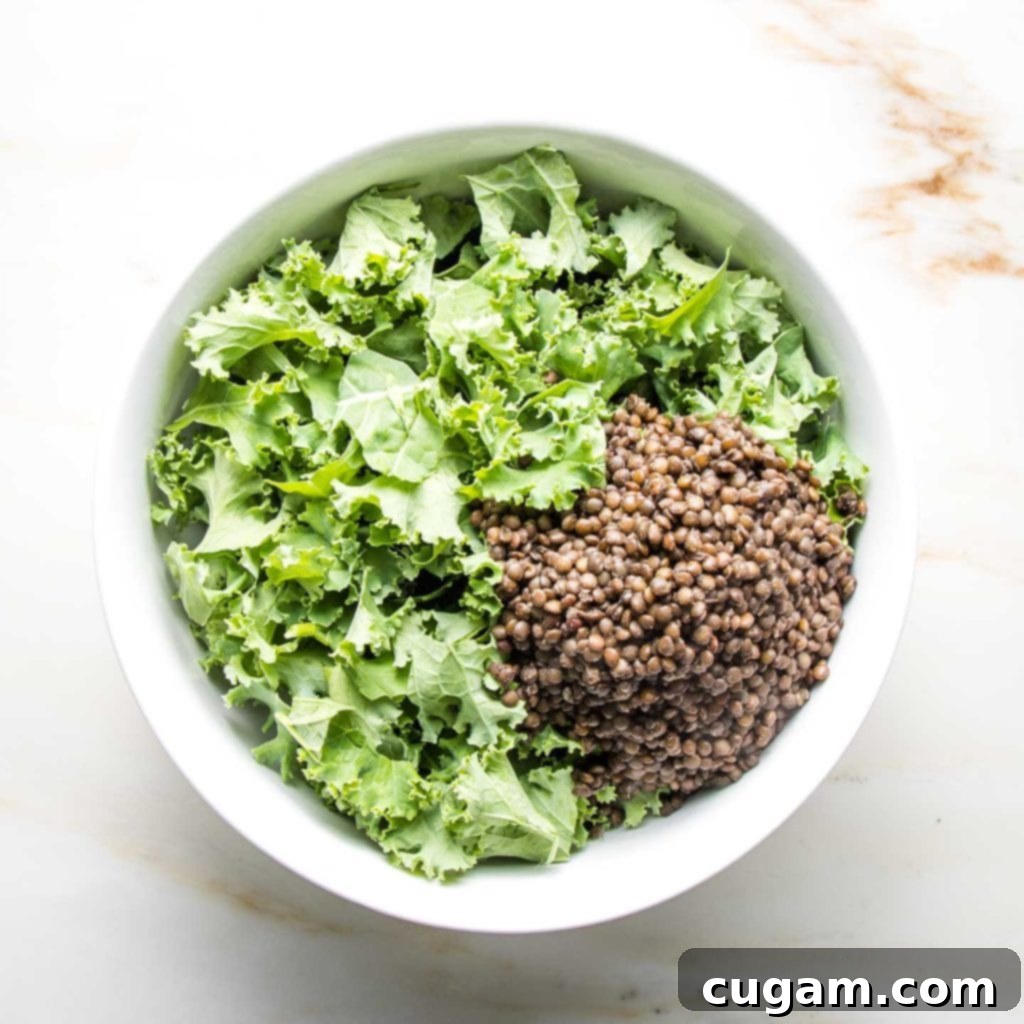 A large white bowl containing a base of green kale, topped with a generous scoop of perfectly cooked black lentils.