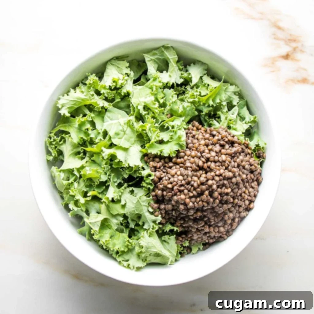 Large white bowl containing a bed of kale topped with a generous scoop of perfectly cooked black lentils.