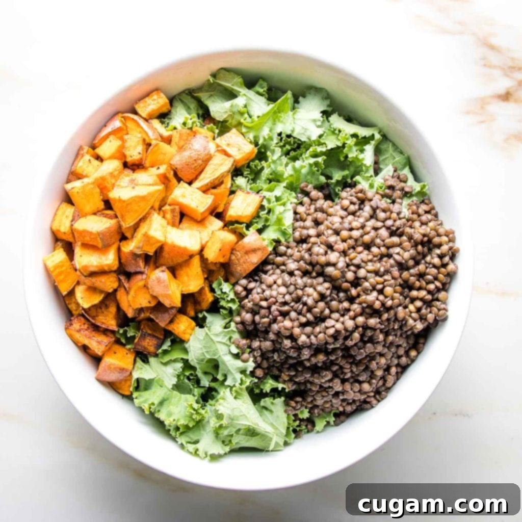 A large white bowl filled with a colorful mix of green kale, black lentils, and inviting cubes of roasted sweet potato.