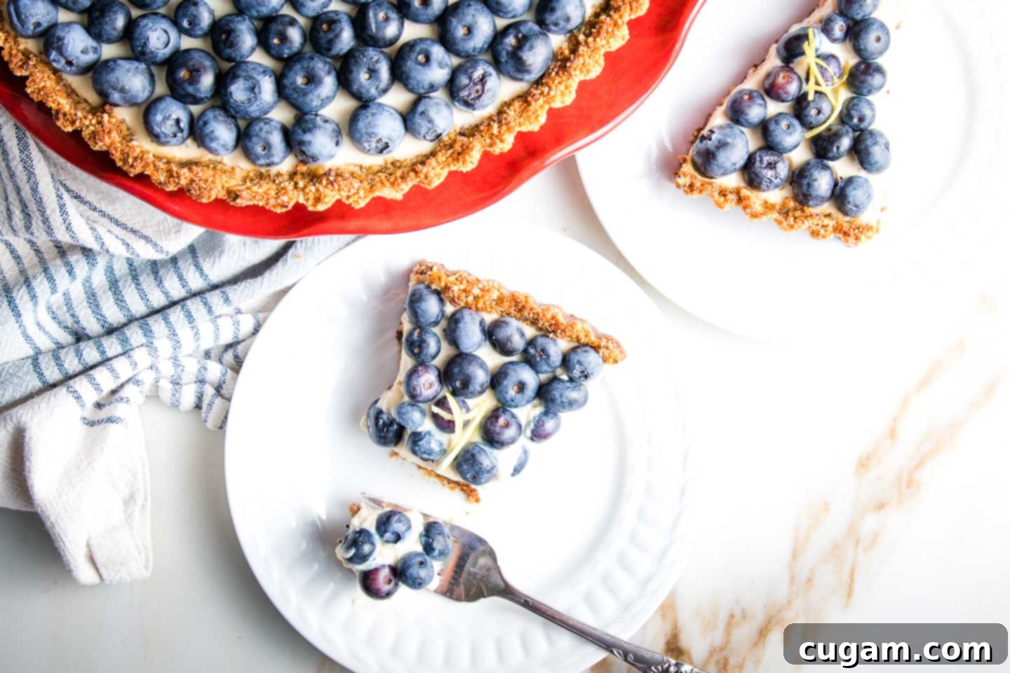 A perfectly sliced piece of blueberry tart rests on a white plate, showcasing its golden-brown crust, creamy white filling, and fresh blueberry topping. In the background, the full tart on a red cake stand hints at more deliciousness.