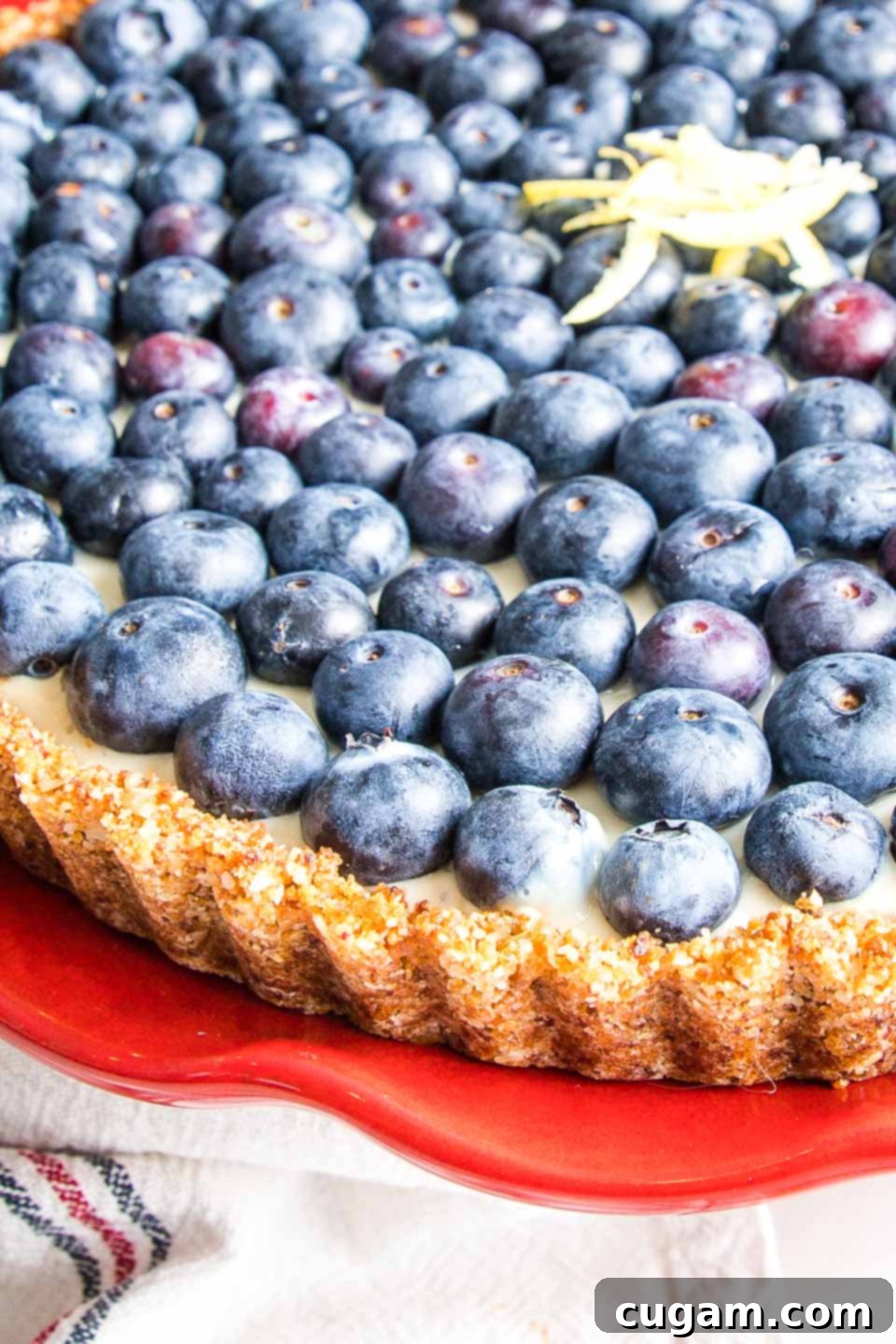 Front view of a blueberry tart, showcasing its beautiful golden-brown crust and inviting texture, all resting on a vibrant red cake stand.