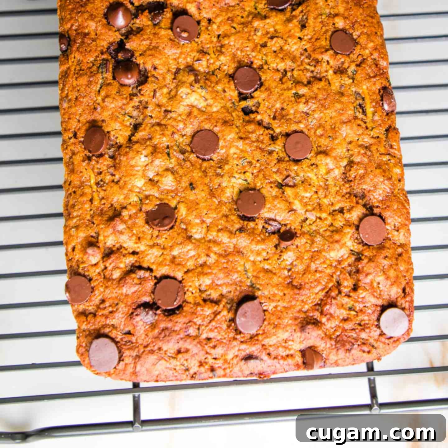 Freshly baked healthy zucchini bread cooling on a wire rack.