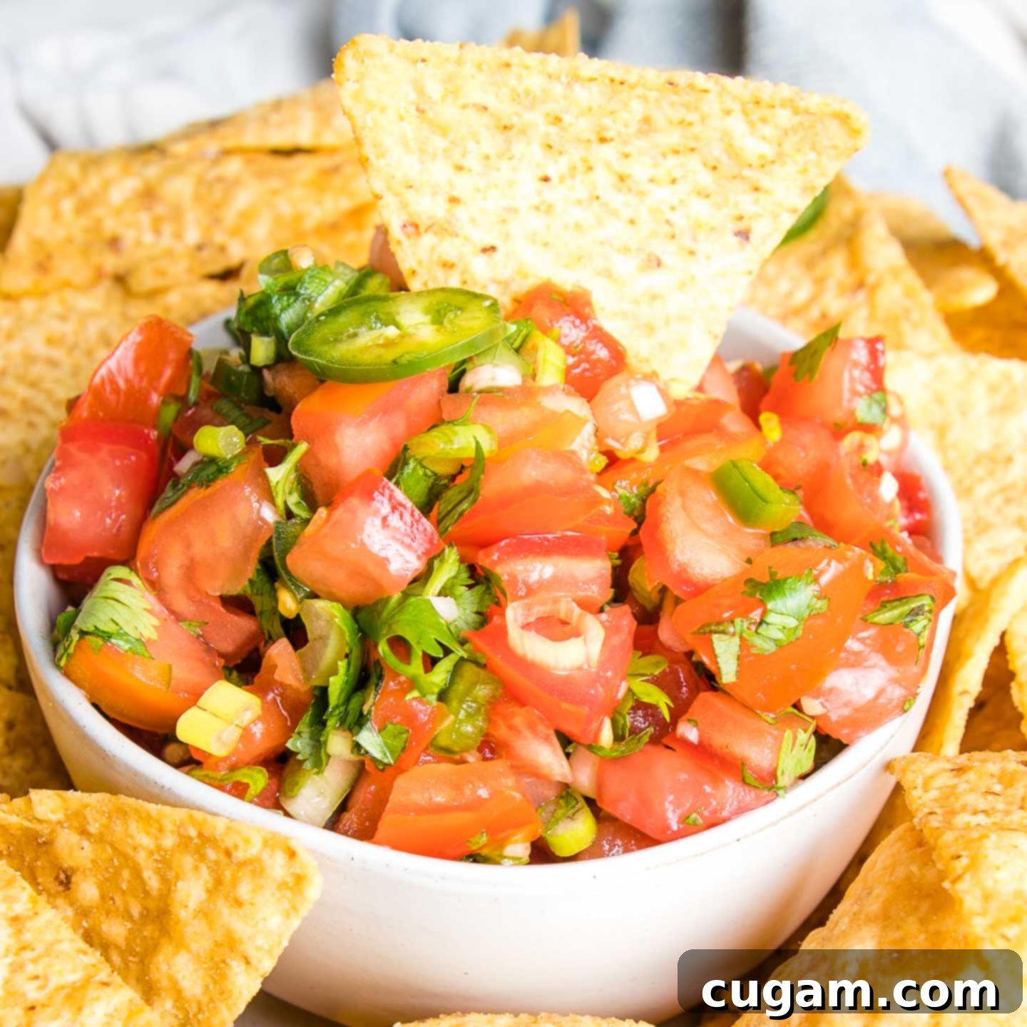 Chunks of fresh tomatoes, scallions, jalapenos and cilantro in a white bowl, being scooped up by a yellow corn tortilla chip. 