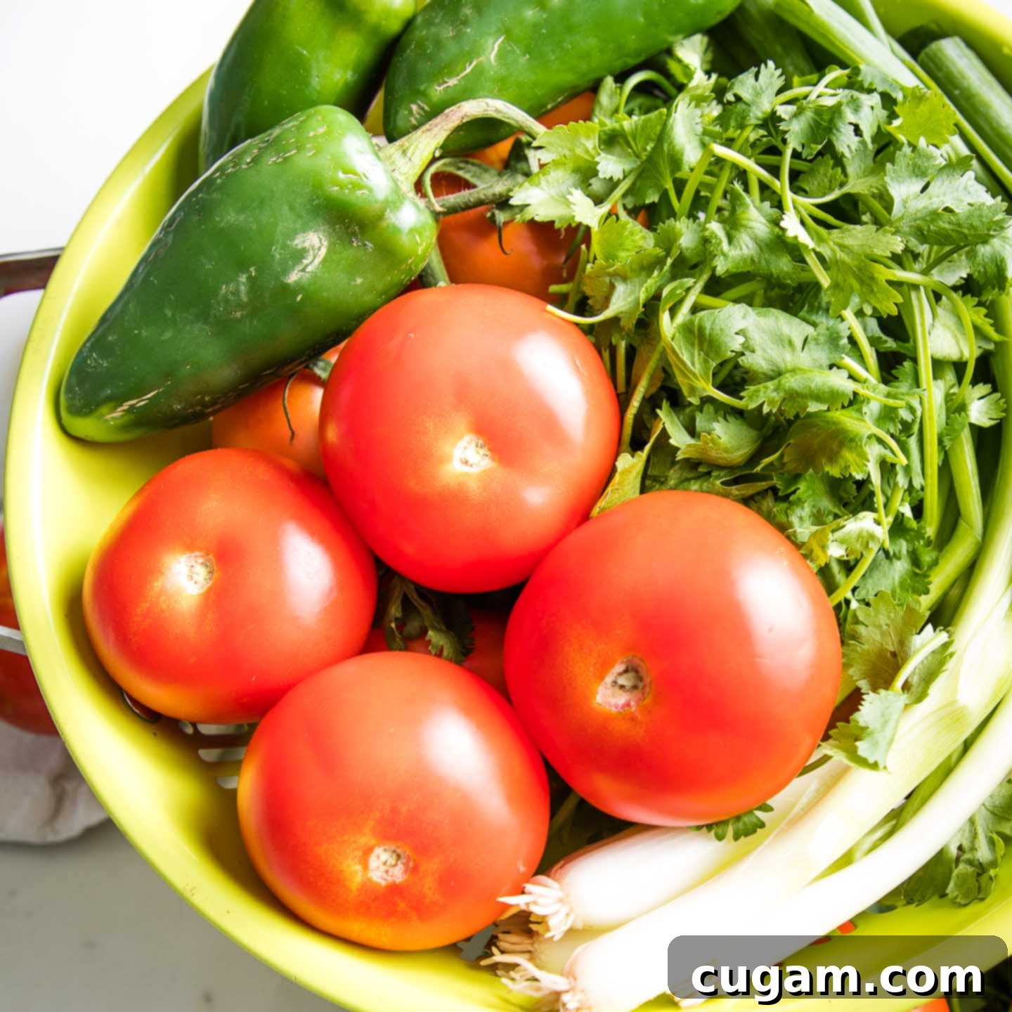 A light green collander filled with fresh tomatoes, jalapenos, scallions and cilantro. 