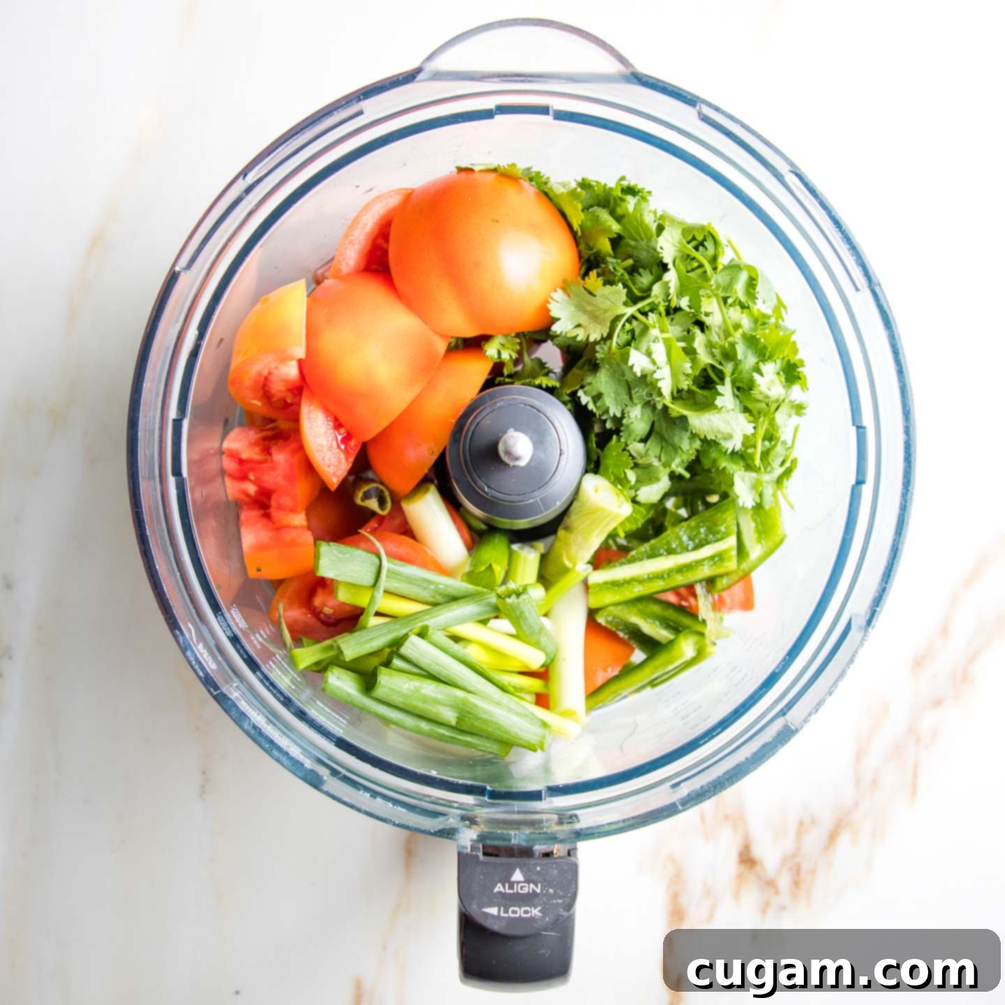 Tomatoes and herbs in a food processor ready to be pulsed into salsa.