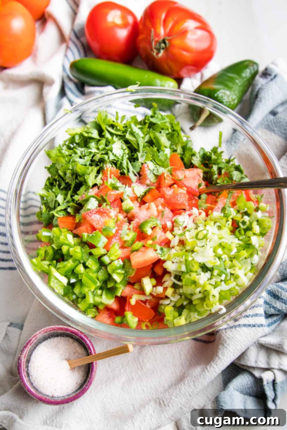 Chopped tomatoes, jalapenos, scallions and cilantro in a glass bowl with a small dish of salt and more raw veggies around it.