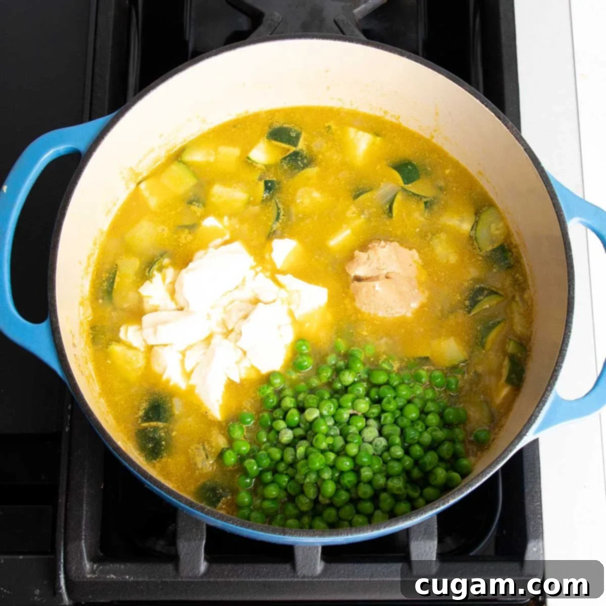 Zucchini Soup Delight 9 Broth cooking in dutch oven with chunks of zucchini plus peas, tofu and miso.