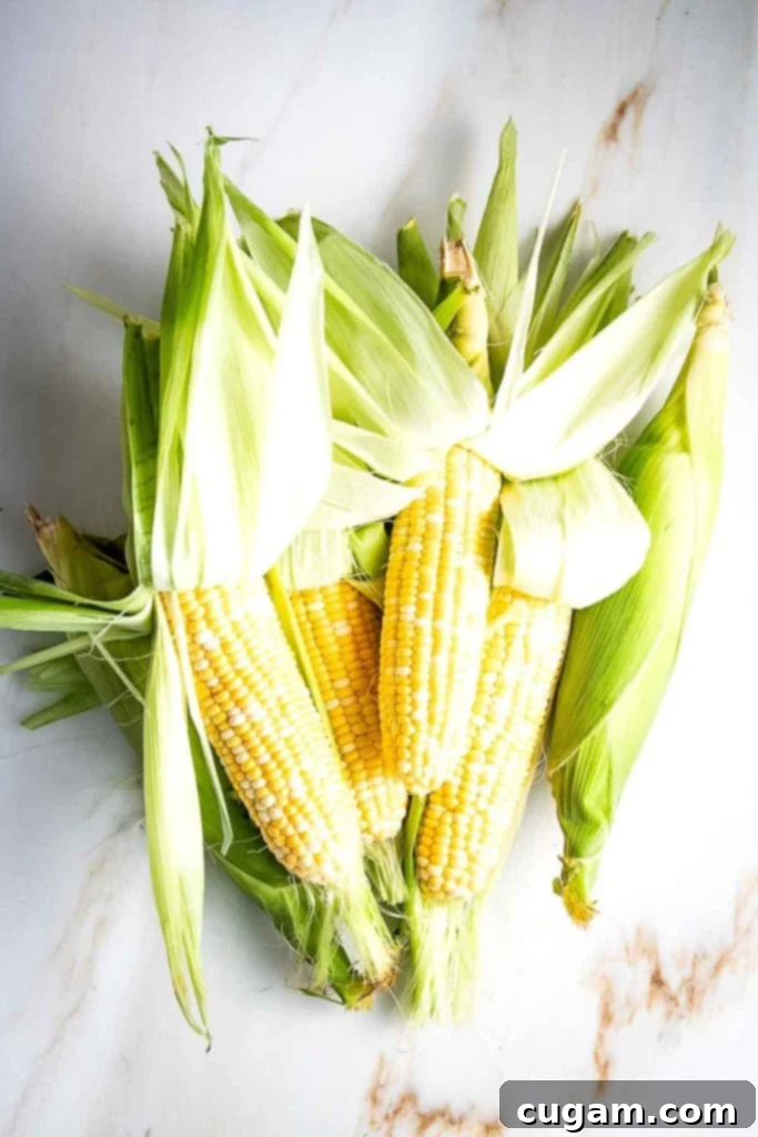 Delicious Vegan Mexican Street Corn 4 Fresh corn on the cob with husks pushed up, ready to be shucked.