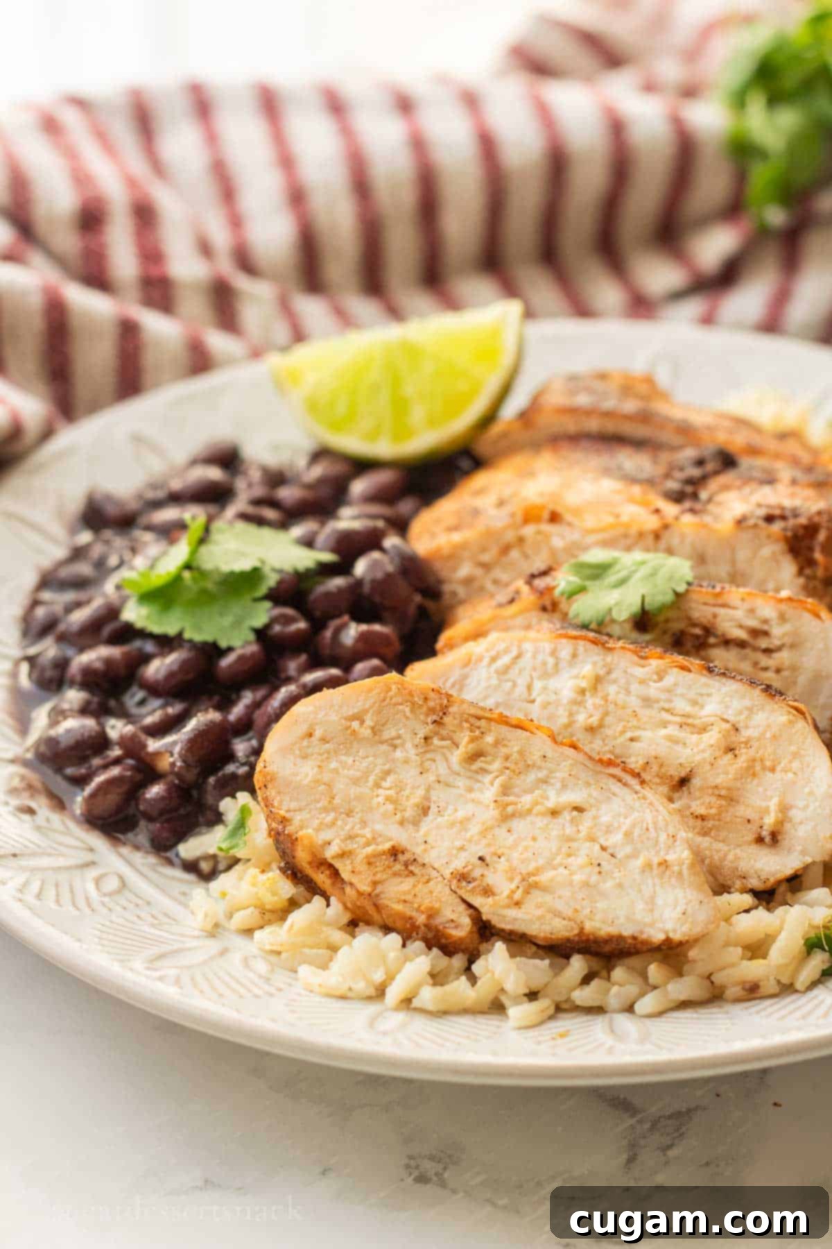 DIY Chicken Taco Spice Mix 9 Sliced chicken on bed of rice with black beans.
