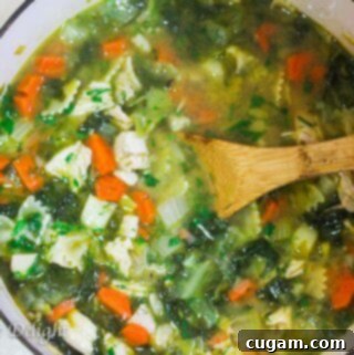 Leftovers turkey soup