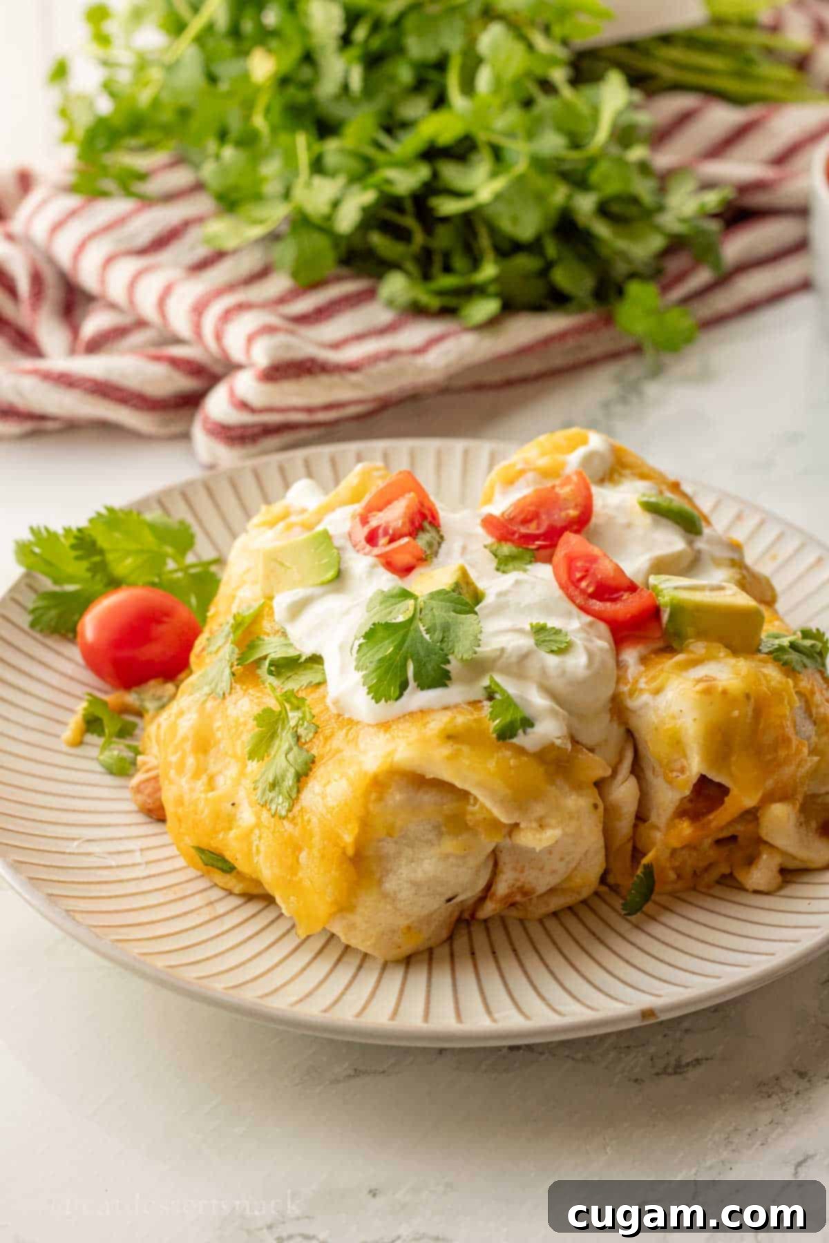 Green chile enchiladas on a plate, garnished with fresh cilantro and sour cream.