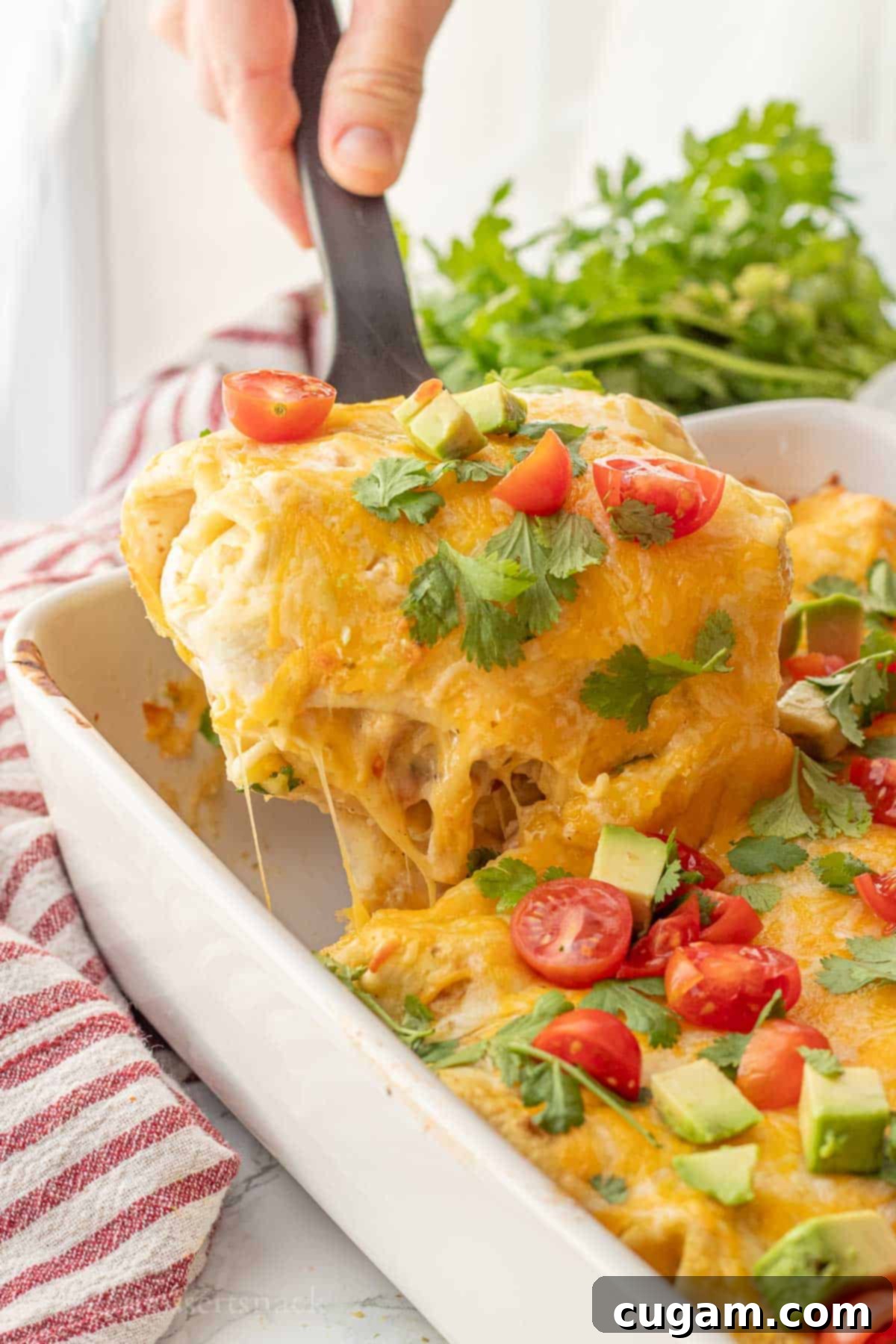 Lifting a baked green chile chicken enchilada out of the pan with a spatula, revealing its cheesy, saucy goodness.